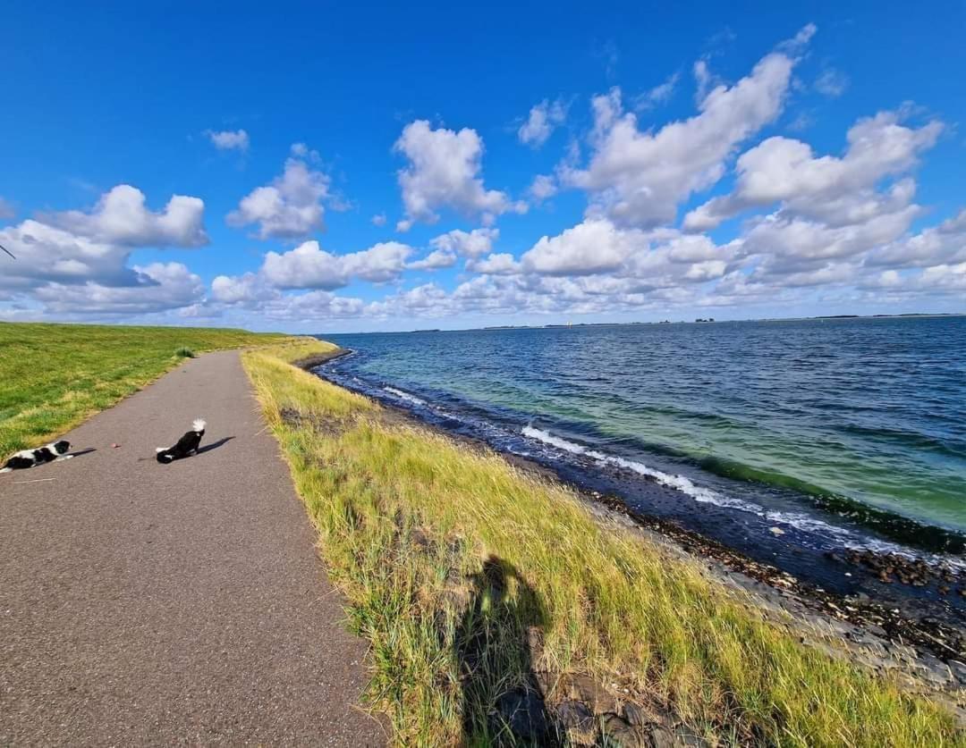 De Corner Van Zeeland Met Jacuzzi Sint Annaland Exteriör bild